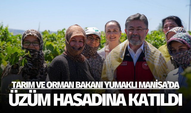 Tarım ve Orman Bakanı Yumaklı, Manisa'da üzüm hasadına katıldı