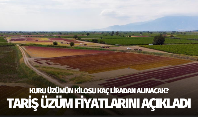 TARİŞ üzüm fiyatlarını açıkladı!