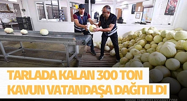 Tarlada kalan 300 ton kavun vatandaşa dağıtıldı