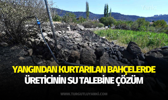 Yangından kurtarılan bahçelerde üreticinin su talebine çözüm