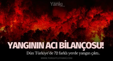 Yangının acı bilançosu! 72 yangın.. 