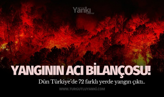 Yangının acı bilançosu! 72 yangın.. 