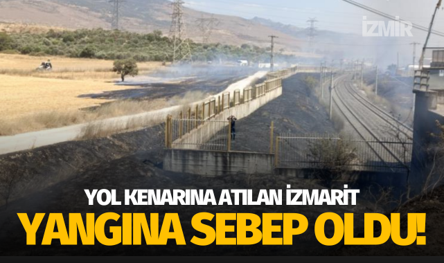 Yol kenarına atılan izmarit yangına sebep oldu!