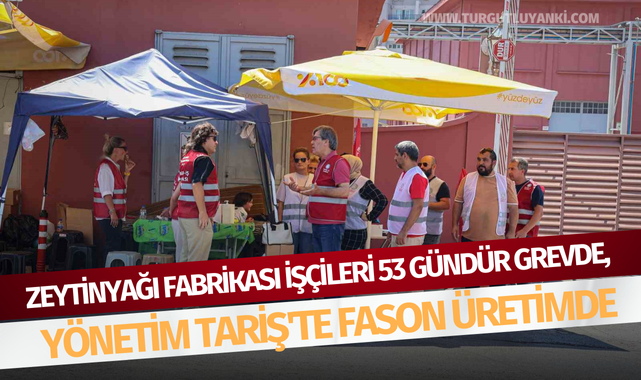 Zeytinyağı fabrikası işçileri 53 gündür grevde, yönetim Tariş'te fason üretimde