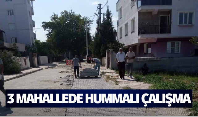 3 mahallede hummalı çalışma