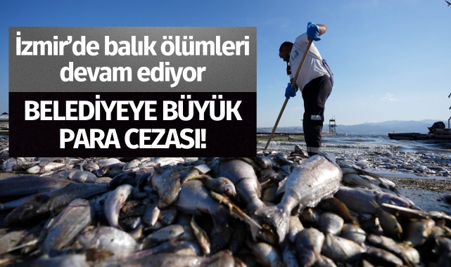 Balık ölümlerinin devam ettiği İzmir'de belediyeye büyük para cezası!