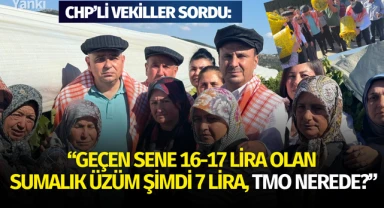 CHP'li Vekiller Sordu: "GEÇEN SENE 16-17 LİRA OLAN SUMALIK ÜZÜM ŞİMDİ 7 LİRA TMO NEREDE?"