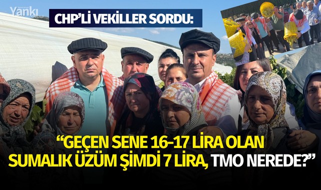 CHP'li Vekiller Sordu: "GEÇEN SENE 16-17 LİRA OLAN SUMALIK ÜZÜM ŞİMDİ 7 LİRA TMO NEREDE?"