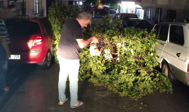 Ekipler devrilen ağaçları kaldırdı