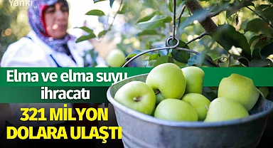 Elma ve elma suyu ihracatı 321 milyon dolara ulaştı