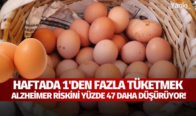 Haftada 1'den fazla tüketmek Alzheimer riskini yüzde 47 daha düşürüyor!