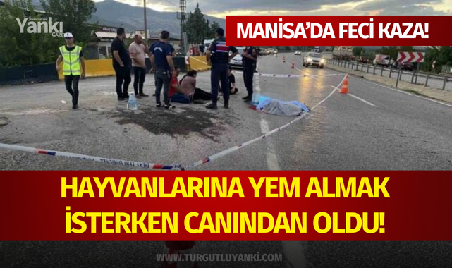 Hayvanlarına yem almak isterken canından oldu