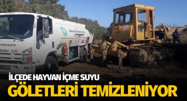 İlçede hayvan içme suyu göletleri temizleniyor