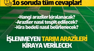 İşlenmeyen tarım arazileri kiraya verilecek! İşte 10 soruda tüm merak edilenler