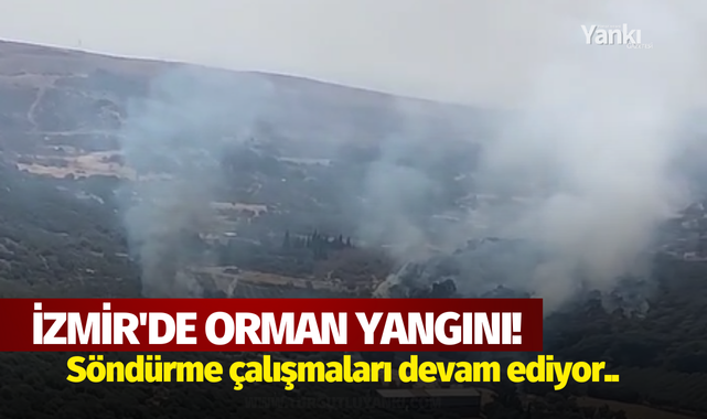 İzmir'de orman yangını! Söndürme çalışmaları devam ediyor..