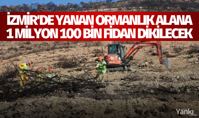 İzmir'de yanan ormanlık alana 1 milyon 100 bin fidan dikilecek