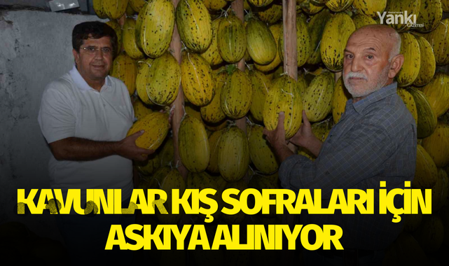 Kavunlar kış sofraları için askıya alınıyor