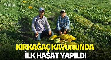 Kırkağaç kavununda ilk hasat yapıldı