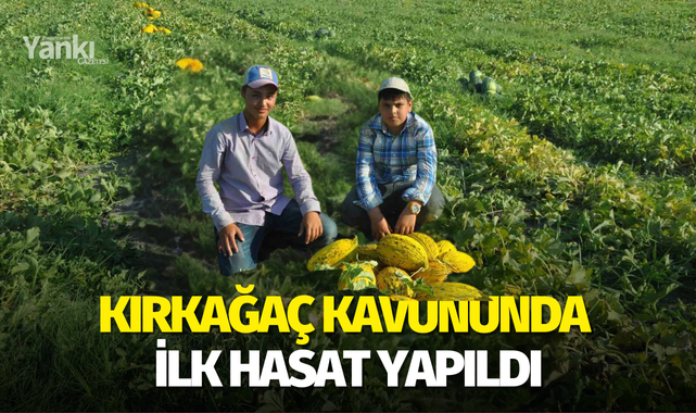 Kırkağaç kavununda ilk hasat yapıldı