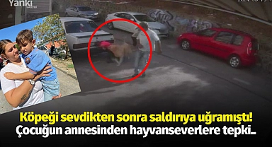 Köpeği sevdikten sonra saldırıya uğramıştı! Çocuğun annesinden hayvanseverlere tepki..