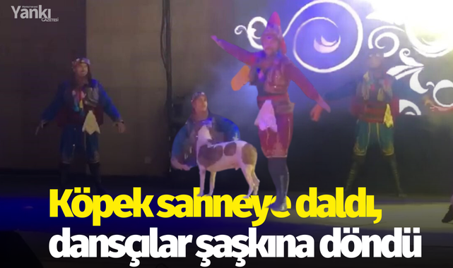 Köpek sahneye daldı, dansçılar şaşkına döndü