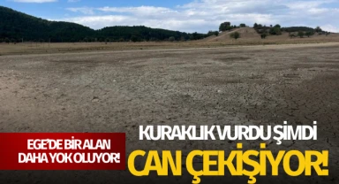 Kuraklığın vurduğu kuş cenneti can çekişiyor!