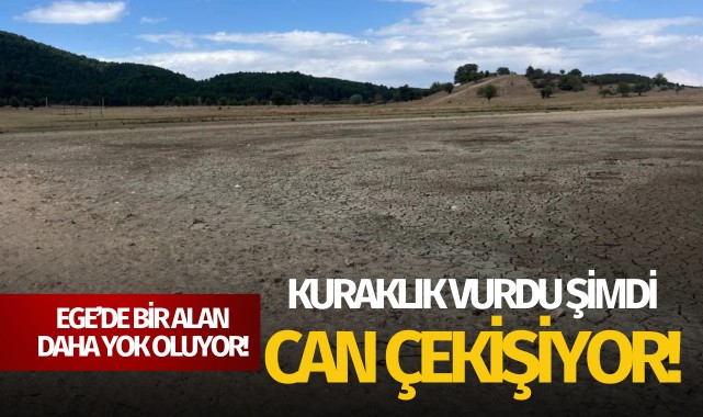 Kuraklığın vurduğu kuş cenneti can çekişiyor!