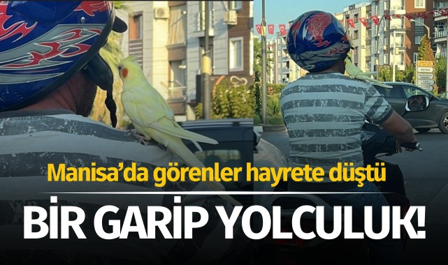 Manisa'da bir garip yolculuk!