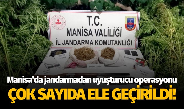 Manisa’da jandarmadan uyuşturucu operasyonu: Çok sayıda ele geçirildi!