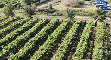 Manisa'da çiftçi cinayeti: 2 kişi tutuklandı