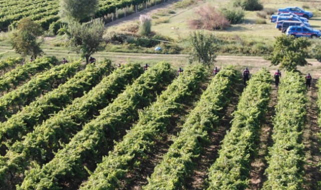 Manisa'da çiftçi cinayeti: 2 kişi tutuklandı