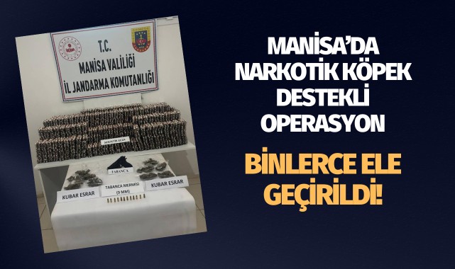 Manisa'da narkotik köpek destekli operasyon: Binlerce ele geçirildi!