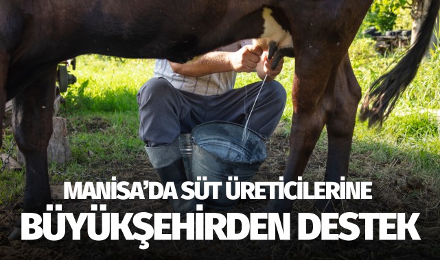 Manisa'da süt üreticilerine büyükşehirden destek