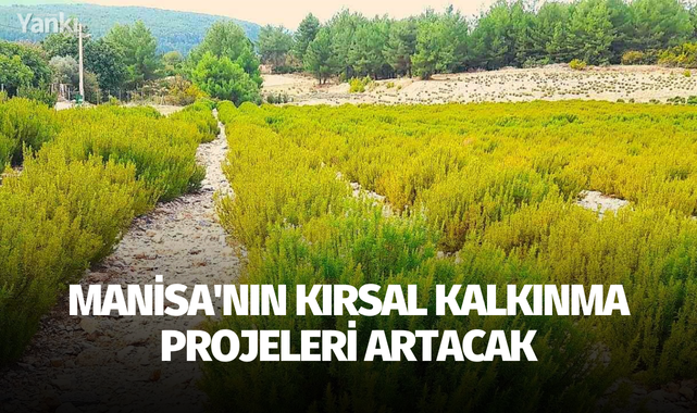 Manisa'nın kırsal kalkınma projeleri artacak