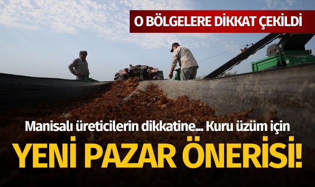 Manisalı üreticilerin dikkatine... Kuru üzüm için yeni pazar önerisi!