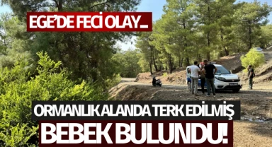 Ege'de bebeğin ormana terk edilmesine ilişkin 2 şüpheliye gözaltı