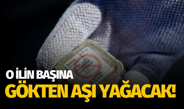 O ilin başına aşı yağacak!