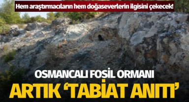 Osmancalı Fosil Ormanı tescillendi: Artık 'Tabiat Anıtı'