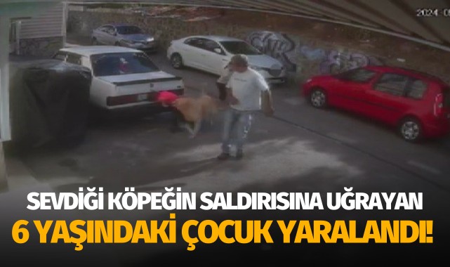 Sevdiği köpeğin saldırısına uğrayan 6 yaşındaki çocuk yaralandı!