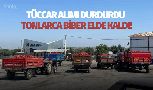 Tüccar alımı durdurdu tonlarca biber elde kaldı!