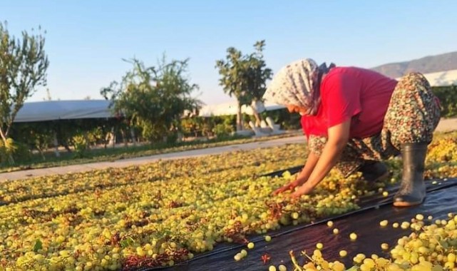 Üzümcünün gözü kulağı meteorolojide