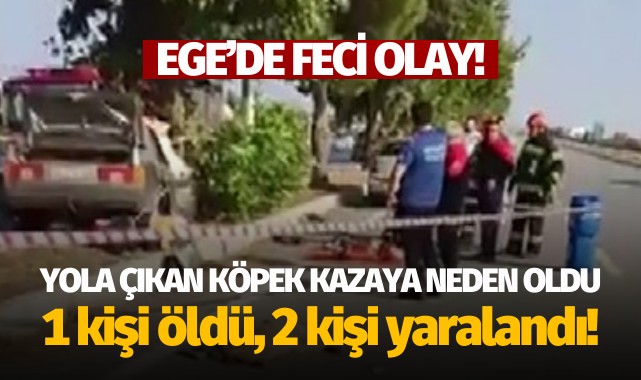 Yola çıkan köpek kazaya neden oldu: 1 ölü, 2 yaralı!