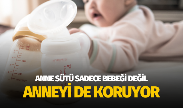 Anne sütü sadece bebeği değil anneyi de koruyor