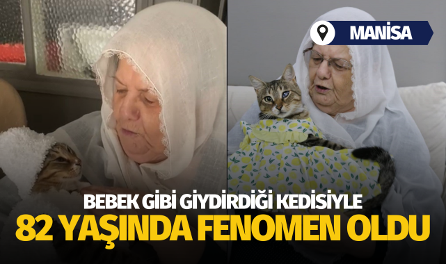 Bebek gibi giydirdiği kedisiyle 82 yaşında fenomen oldu