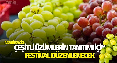 Çeşitli üzümlerin tanıtımı için festival düzenlenecek