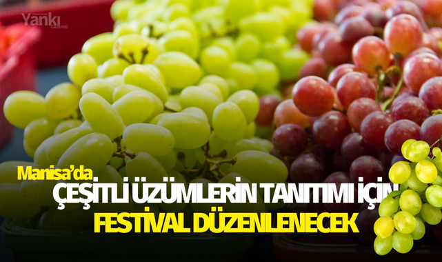 Çeşitli üzümlerin tanıtımı için festival düzenlenecek