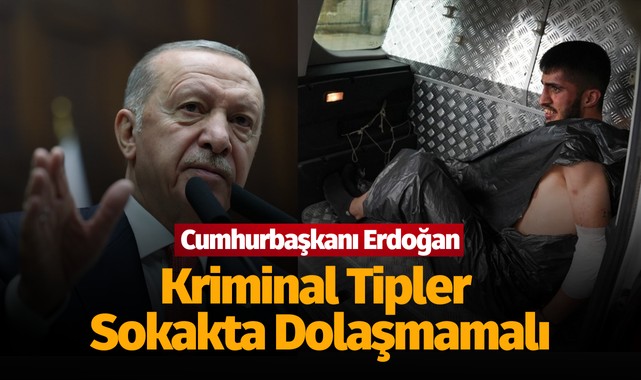 Cumhurbaşkanı Erdoğan: 'Kriminal tipler sokakta dolaşmamalı'