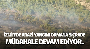 İzmir'de arazi yangını ormana sıçradı! Müdahale devam ediyor..