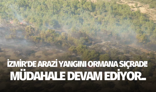 İzmir'de arazi yangını ormana sıçradı! Müdahale devam ediyor..