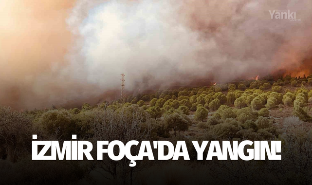 İzmir Foça'da yangın!